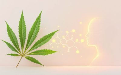 Cannabis bei Krebs als Therapieoption verstehen
